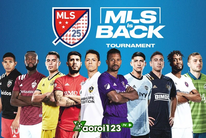 MLS 