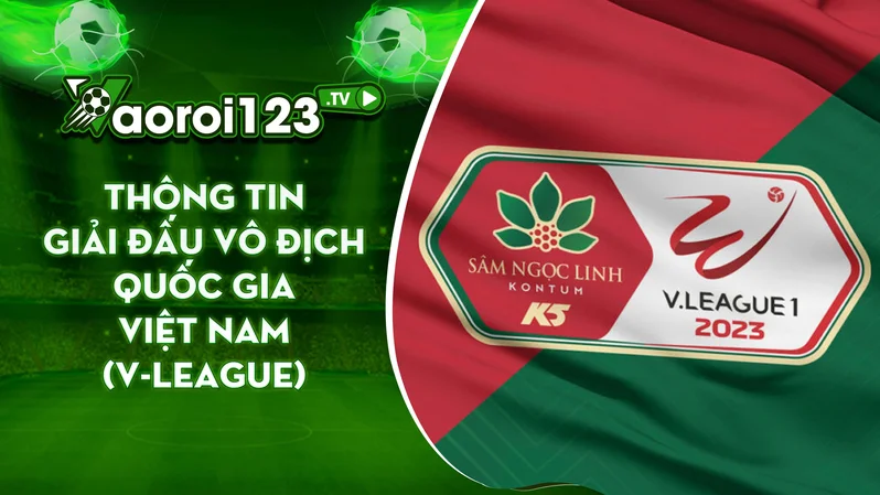 giải bóng đá vô địch quốc gia Việt Nam (V-League)