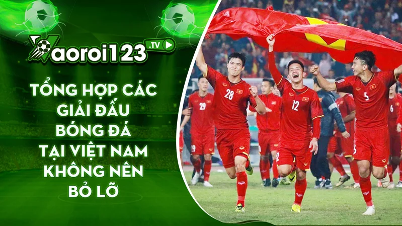 các giải bóng đá Việt Nam